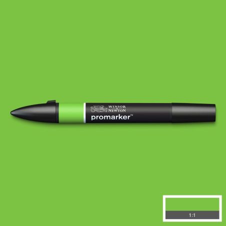 VERT CLAIR (G267) 