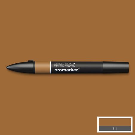 NOISETTE (O534) 