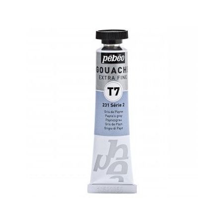 GRIS DE PAYNE 