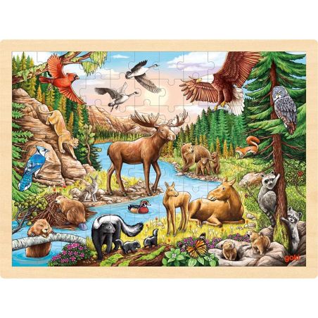 Jungle d'amérique du nord 