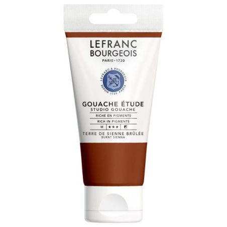 TERRE DE SIENNE BRULEE 