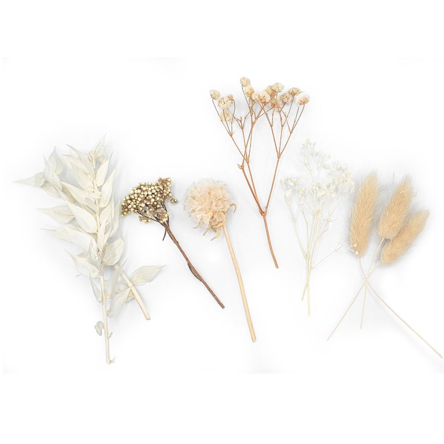 Fleurs sechées coloris blanc X10 PCS - Décoration Murale Naturelle