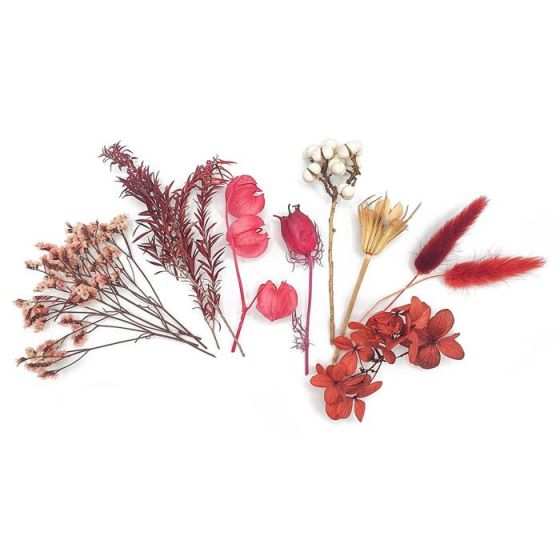 Coffret de Fleurs Séchées Coloris Bordeaux x 10 pcs - CTOP