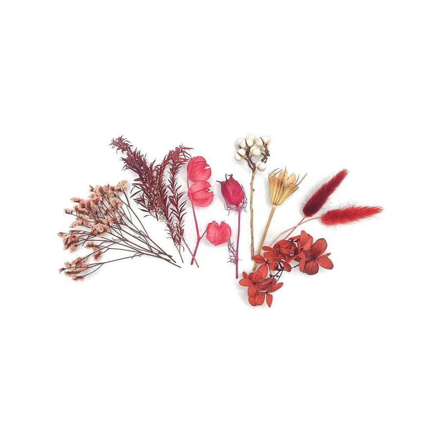 Coffret de Fleurs Séchées Coloris Bordeaux x 10 pcs - CTOP