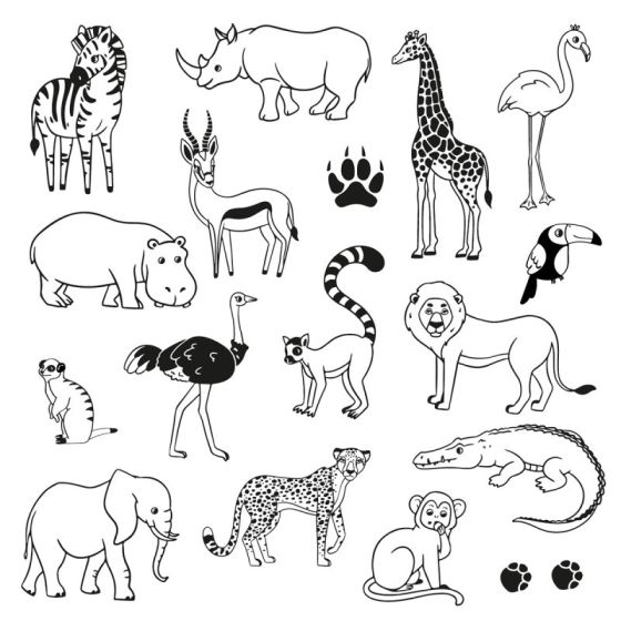 Boîte 17 tampons Stampo Funny « Savane » – kit enfants avec encreur