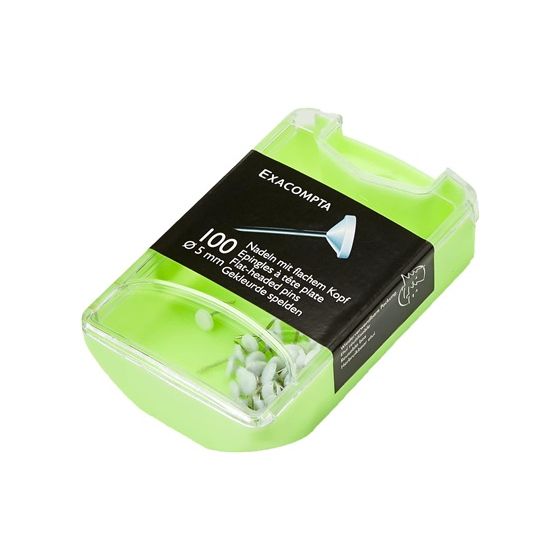 Boîte 100 Épingles Tête Plate 5 mm Blanches