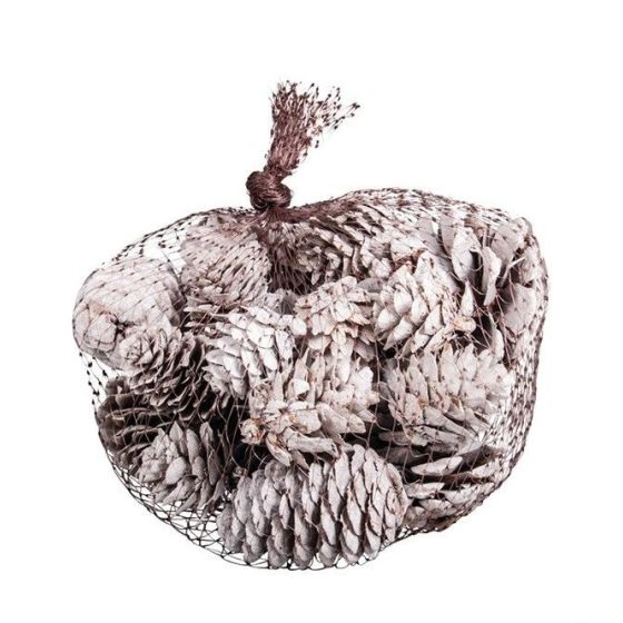 Cônes de pin décoratifs blancs 2,5 à 6 cm – Set de 25 pièces