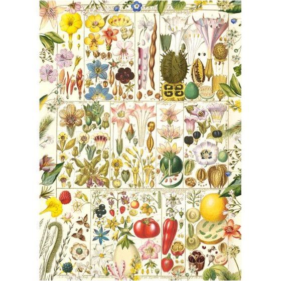 Puzzle 1000 pièces Botanical Bliss – Gibsons (partenariat RHS)
