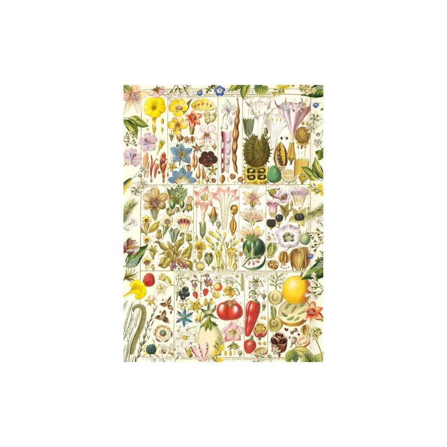 Puzzle 1000 pièces Botanical Bliss – Gibsons (partenariat RHS)