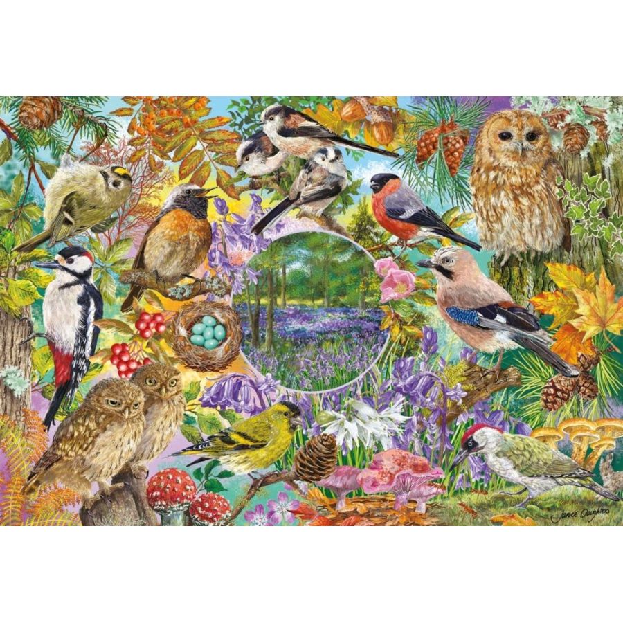Puzzle Wings in the Wild – Coffret 4 x 500 pièces (Gibsons x RSPB)