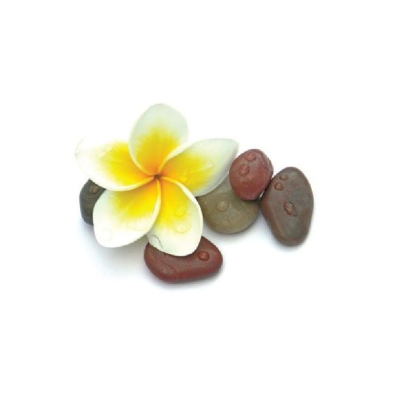 Senteurs Bougie 500 ml – Graine Créative