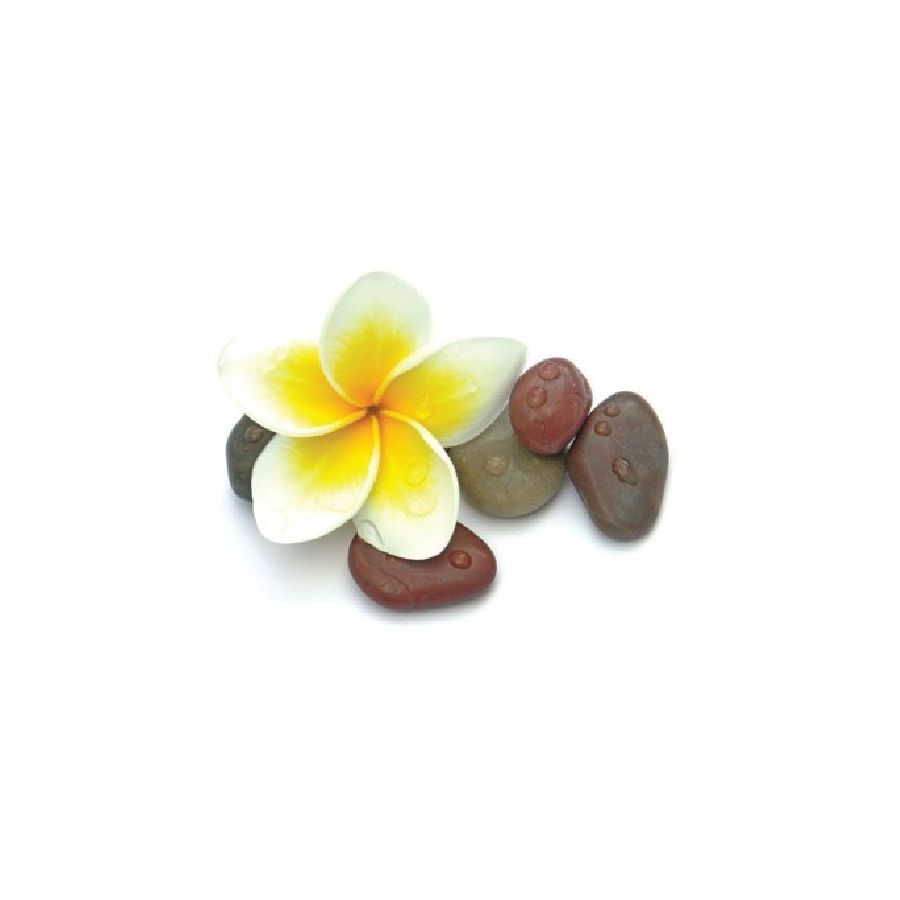 Senteurs Bougie 500 ml – Graine Créative