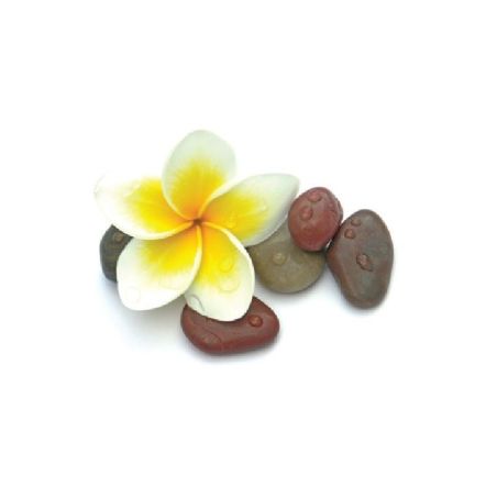 SENTEUR FLEURS DES ILES  