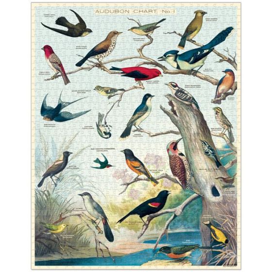 Puzzle Cavallini Oiseaux d’Audubon 1000 | Art & Loisirs