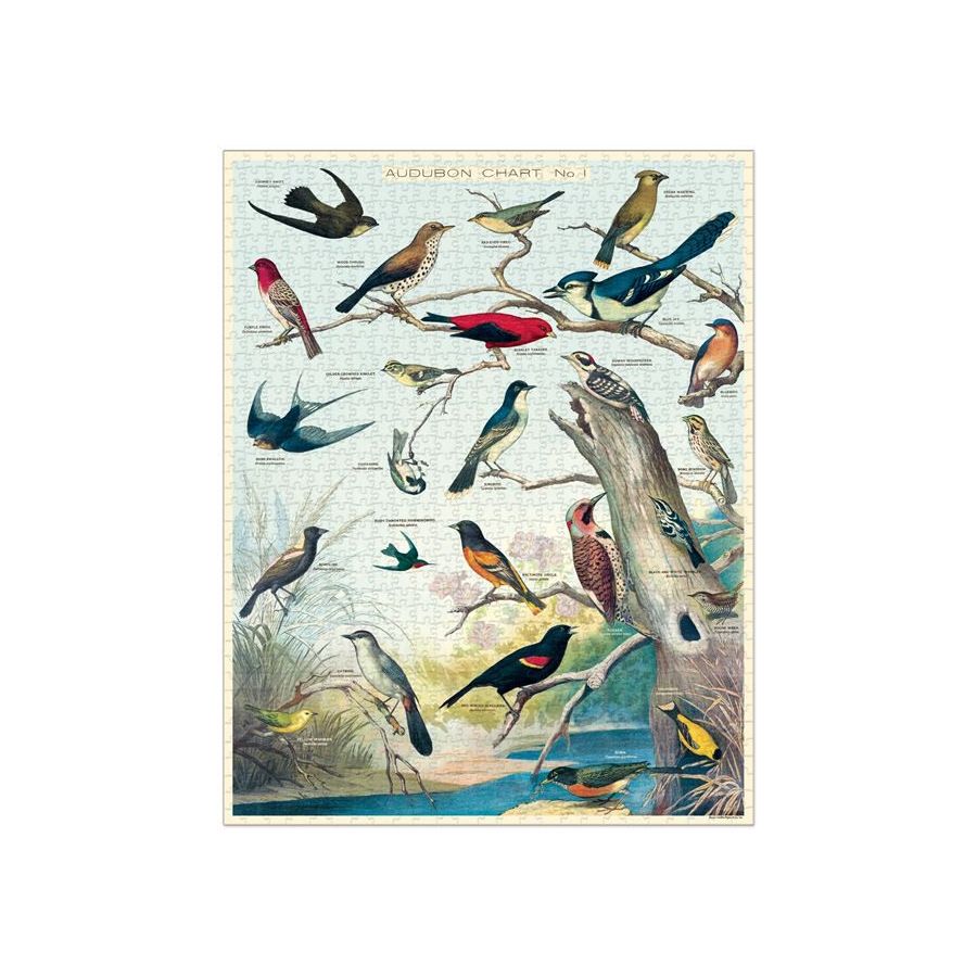 Puzzle Cavallini Oiseaux d’Audubon 1000 | Art & Loisirs