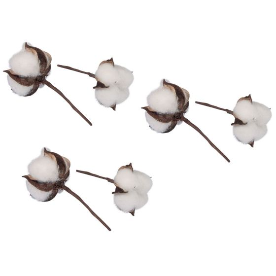 Lot de 6 fleurs de coton - Rayher
