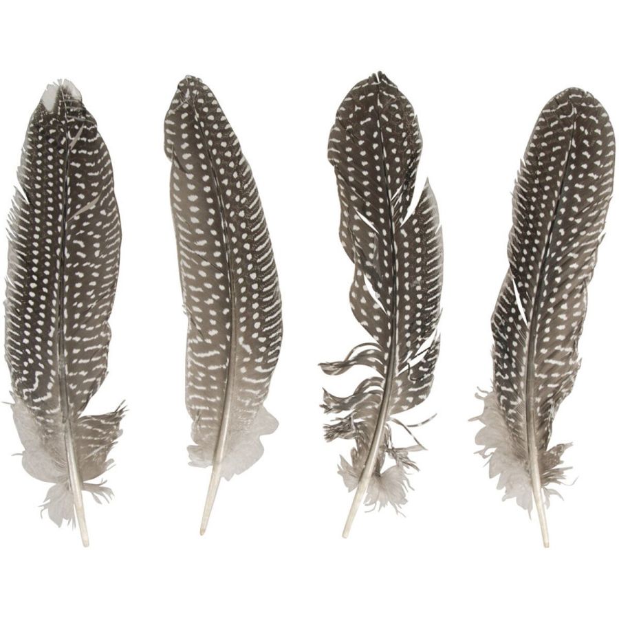 Plume de Faisan 20-22 cm 4 pièces