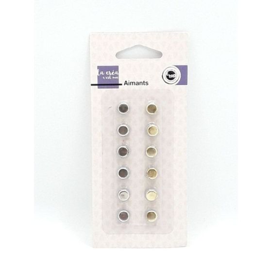 Blister 12 Aimants ø 9 mm 6 Or et 6 Argent
