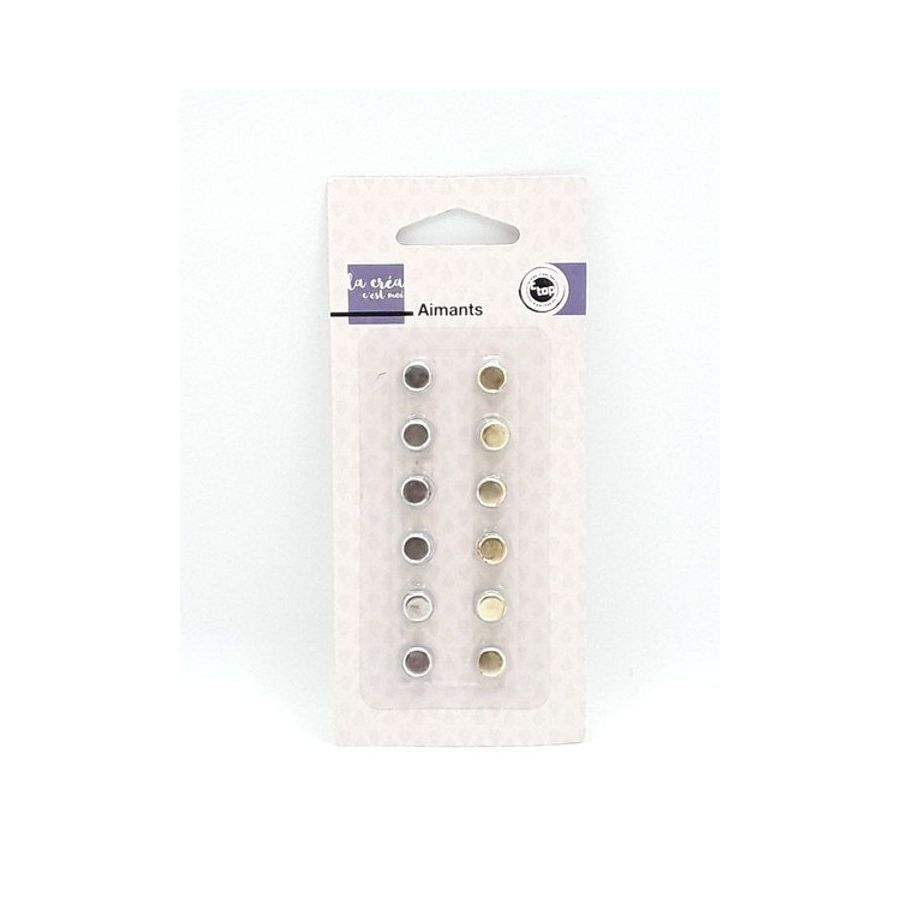 Blister 12 Aimants ø 9 mm 6 Or et 6 Argent