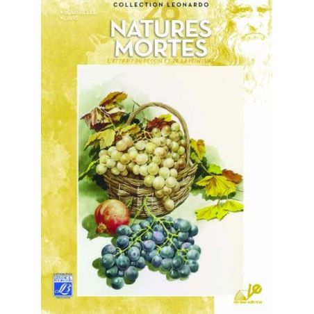 ALBUM N°26 NATURE MORTE AQUARELLE 