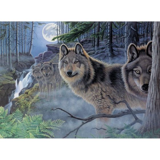 Royal Langnickel peinture à numéros  - Lueur de la lune mystique