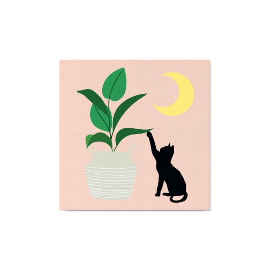 Peinture par Numéro 20x20 – Chaton et plante au clair de lune