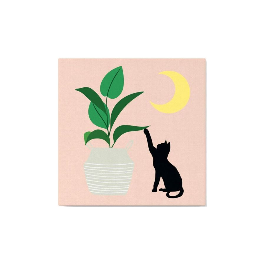Peinture par Numéro 20x20 – Chaton et plante au clair de lune