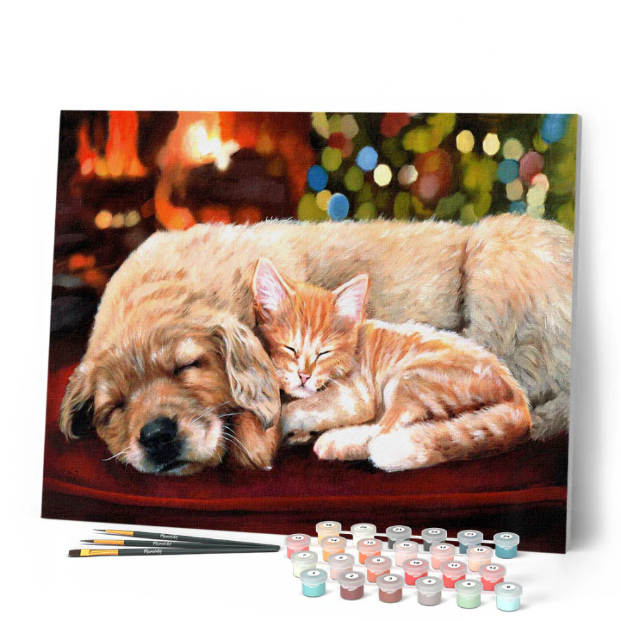Peinture par Numéro 40x50 tendue sur châssis – Sieste entre Amis