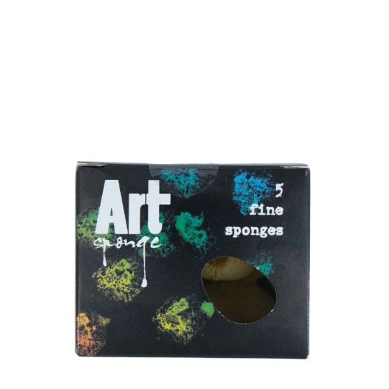 Etui 5 Éponges Naturelles - Corect'Art | Art & Loisirs