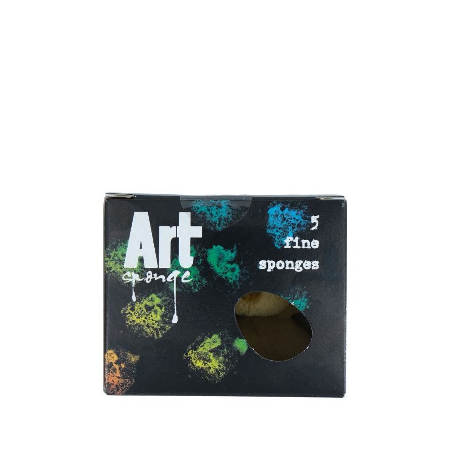 Etui 5 Éponges Naturelles - Corect'Art | Art & Loisirs
