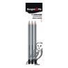 3 crayons graphite Rougier & plé - Hb/2b/4b Color'i