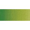 Vert vessie permanent 503