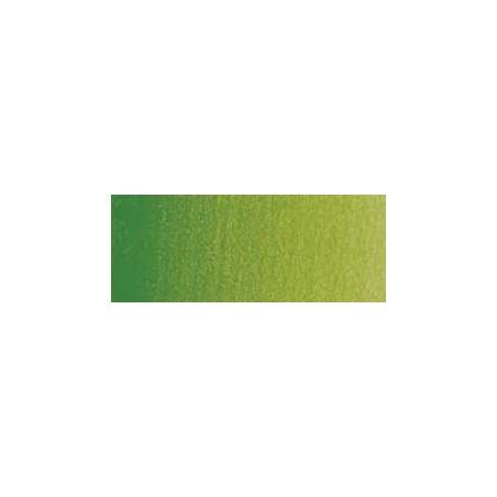 VERT VESSIE PERMANENT 503 