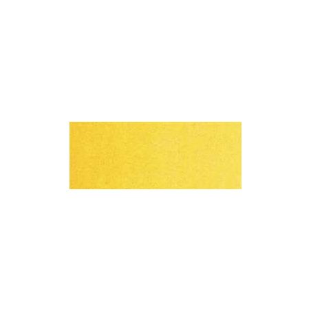 JAUNE TURNER 649 