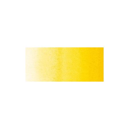 AUREOLINE 016 