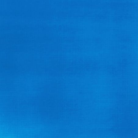 BLEU FLUO 