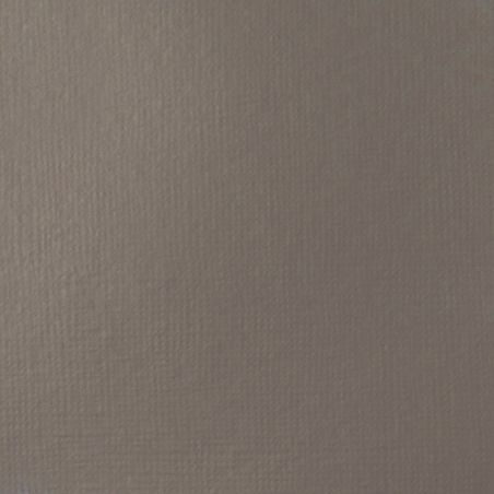 GRIS NEUTRE 