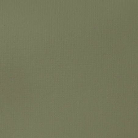 GRIS VERT 