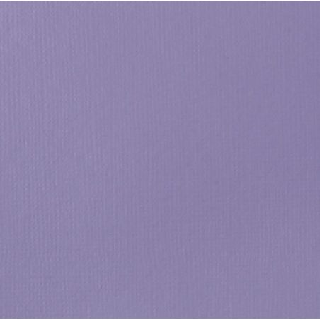 VIOLET POURPRE CLAIR 