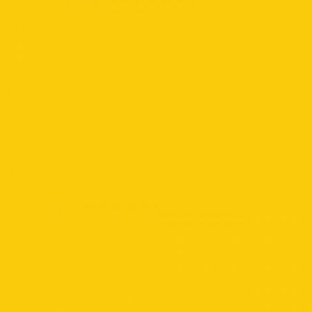 19 JAUNE CLAIR 