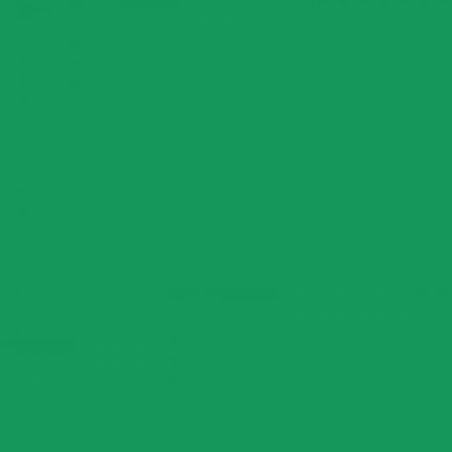 41 VERT FORET 