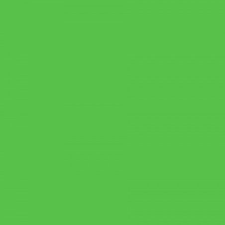 42 VERT LUMIERE 