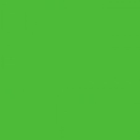 45 VERT PRINTEMPS 