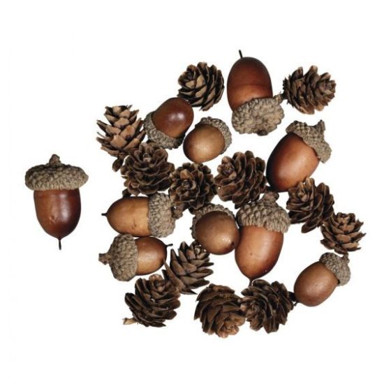 mélange de cones et glands Rayher