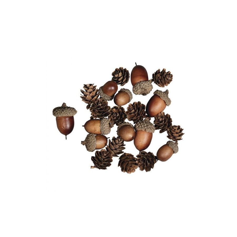 mélange de cones et glands Rayher mélange de cones et glands Rayher