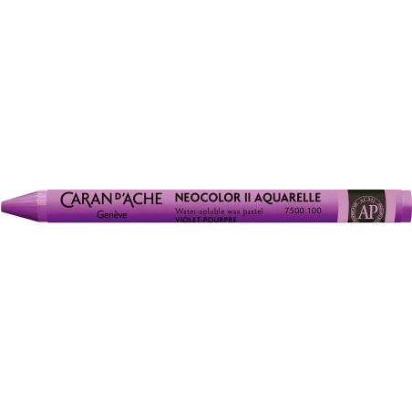 VIOLET POURPRE 