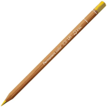 JAUNE BISMUTHE DORE 