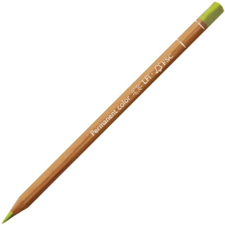 JAUNE OLIVE 