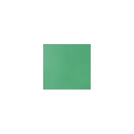 VERT D'EAU ECLATANT 
