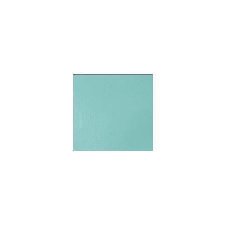 BLEU CLAIR 